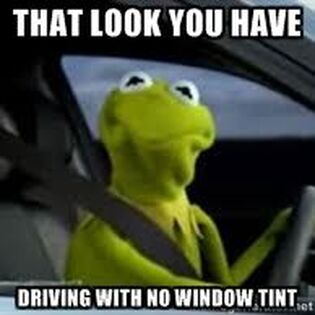 Kermit the frog window tint meme
